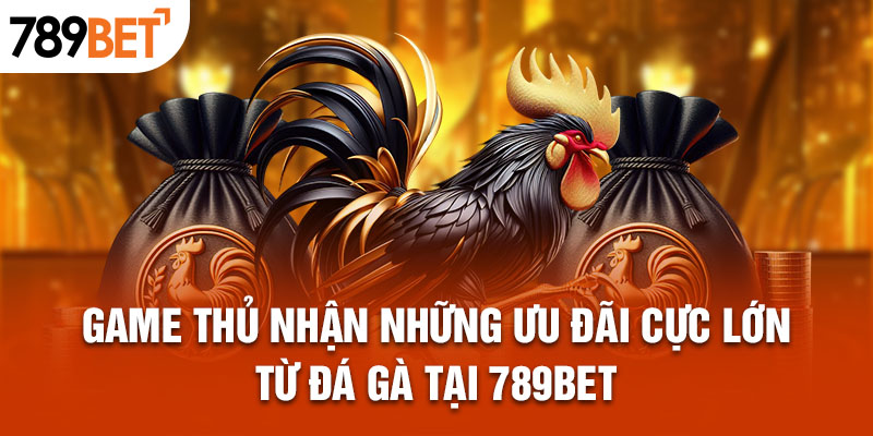 Game thủ nhận những ưu đãi cực lớn từ đá gà tại 789bet