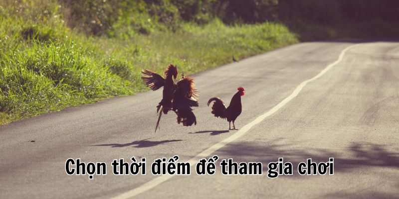 da-ga-truc-tiep-binh-luan-vien-chon-thoi-diem